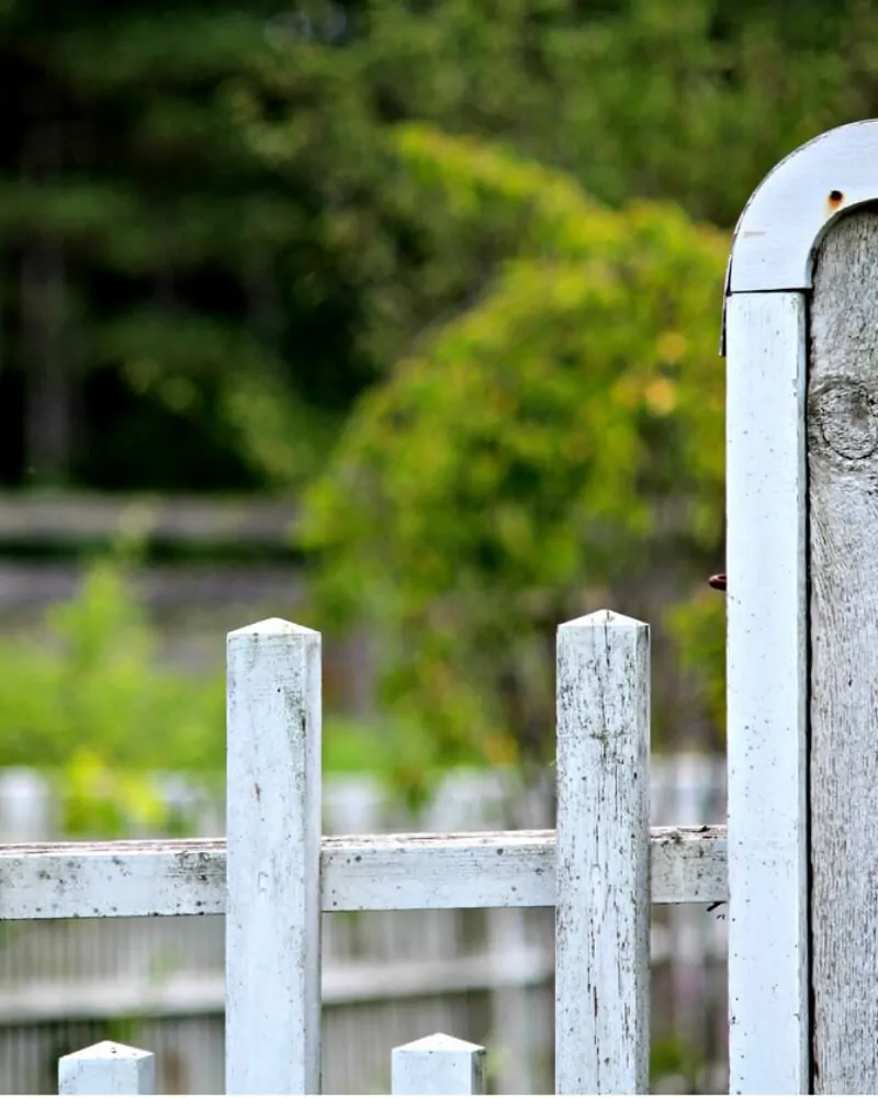 Obelisk Picket Fence