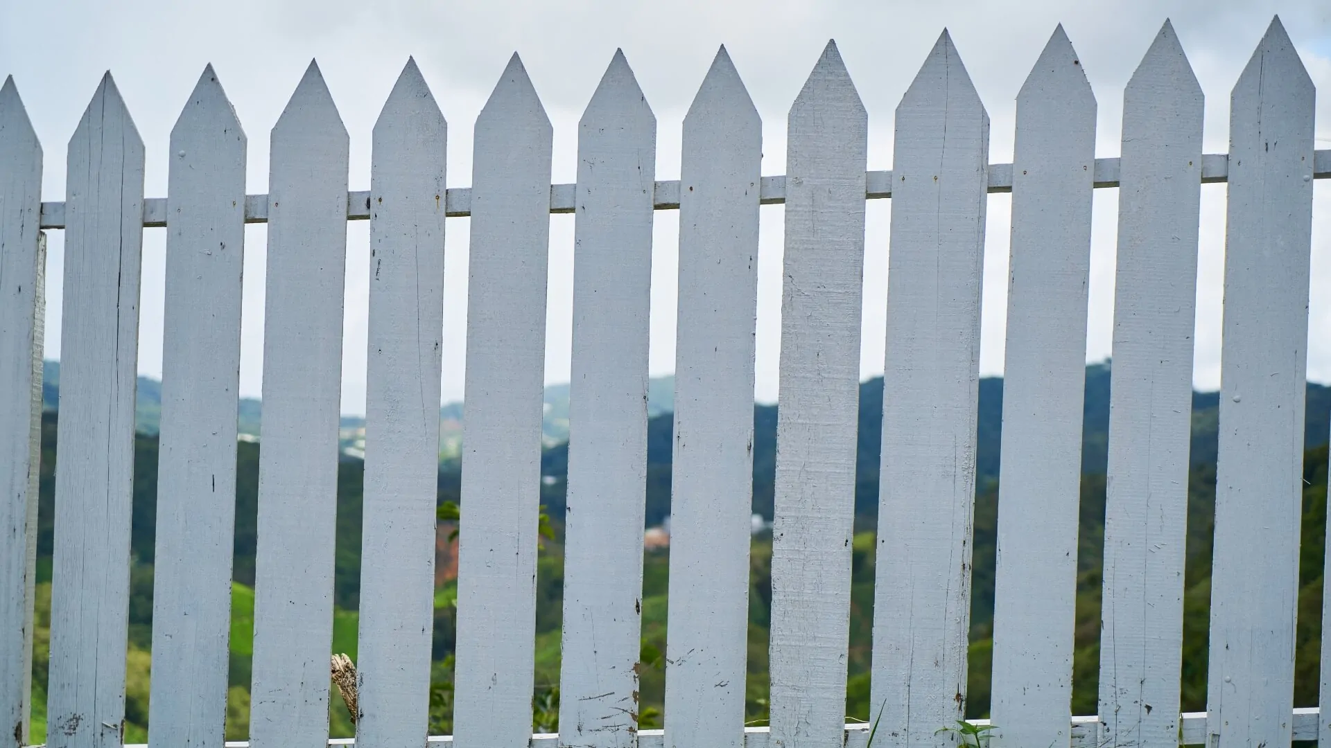 Top 12 Wooden Fence Designs That Transform Your Outdoor Space | Spacefencing